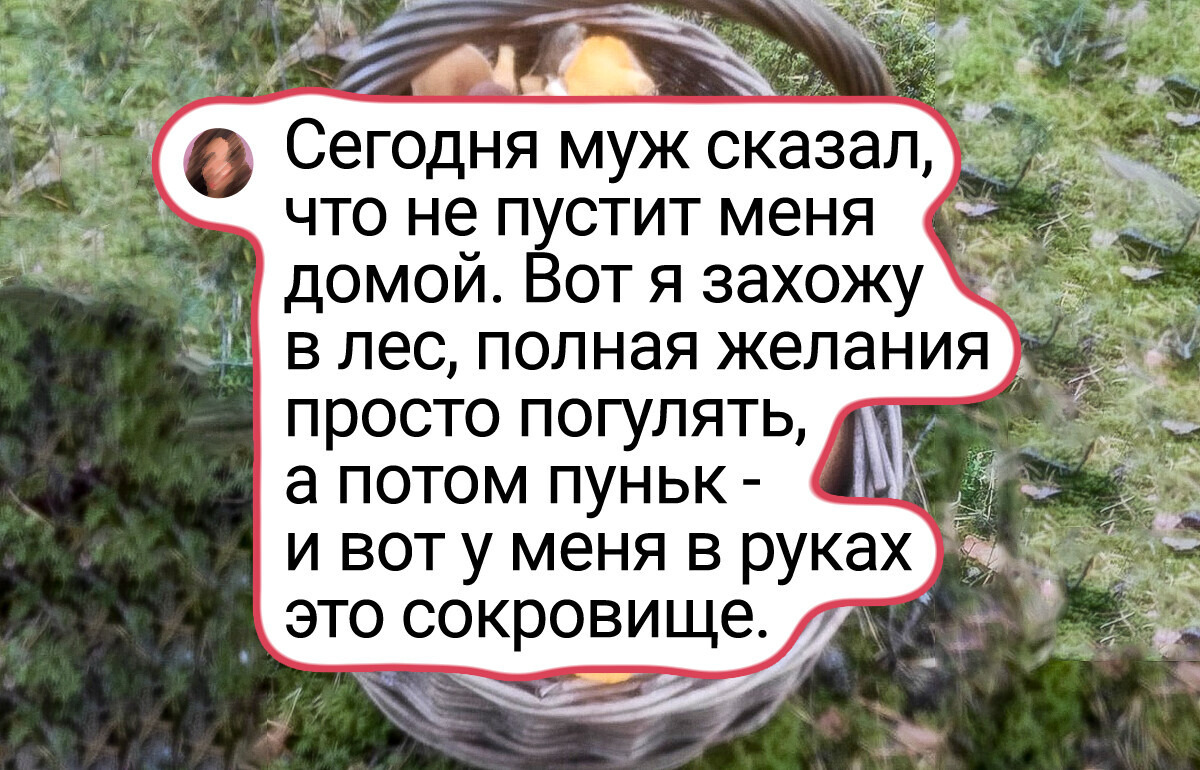 17 снимков, которые на 100% пропитаны осенью