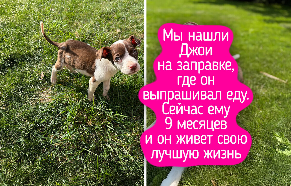 16 фото, на которых запечатлены моменты чистого, неподдельного счастья 16 фото, на которых запечатлены моменты чистого, неподдельного счастья