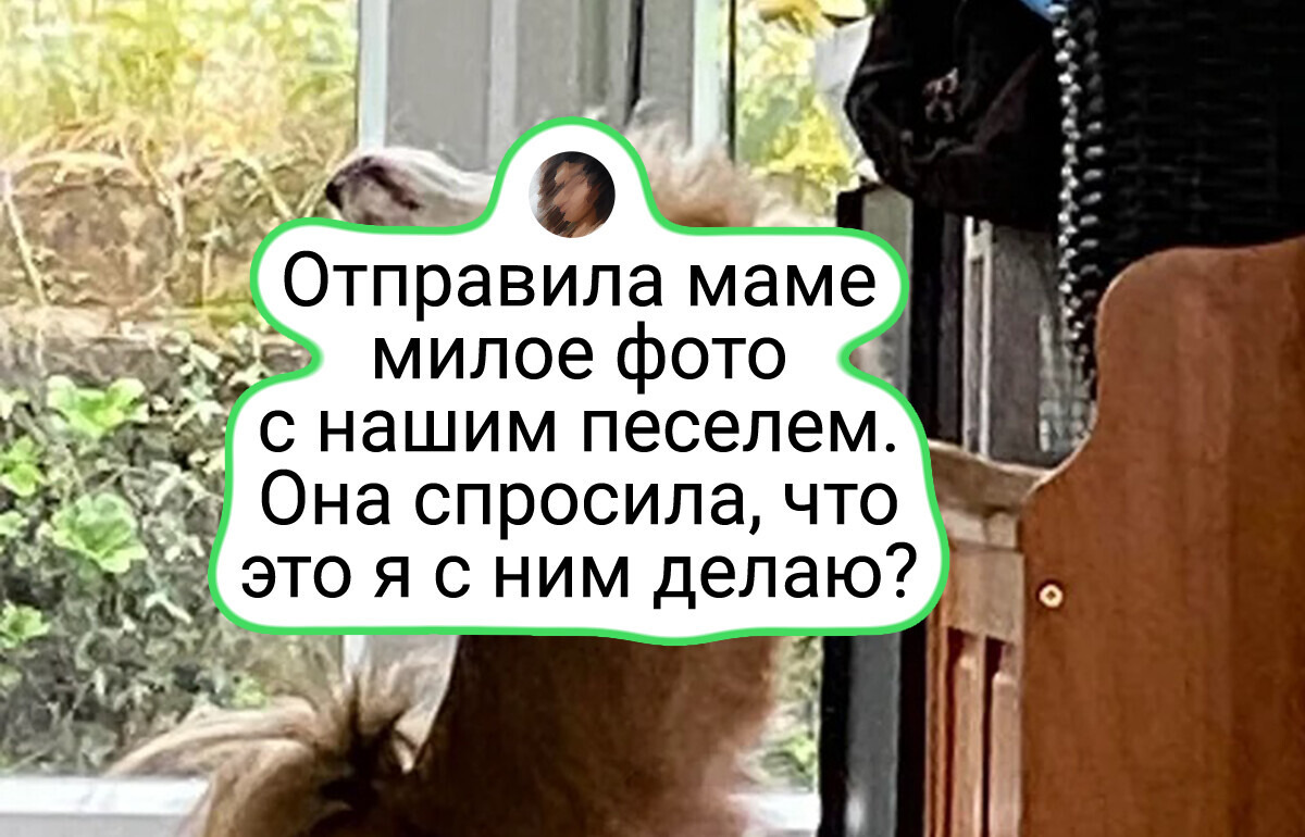 20 фото с подвохом, в которые придется всматриваться не один раз