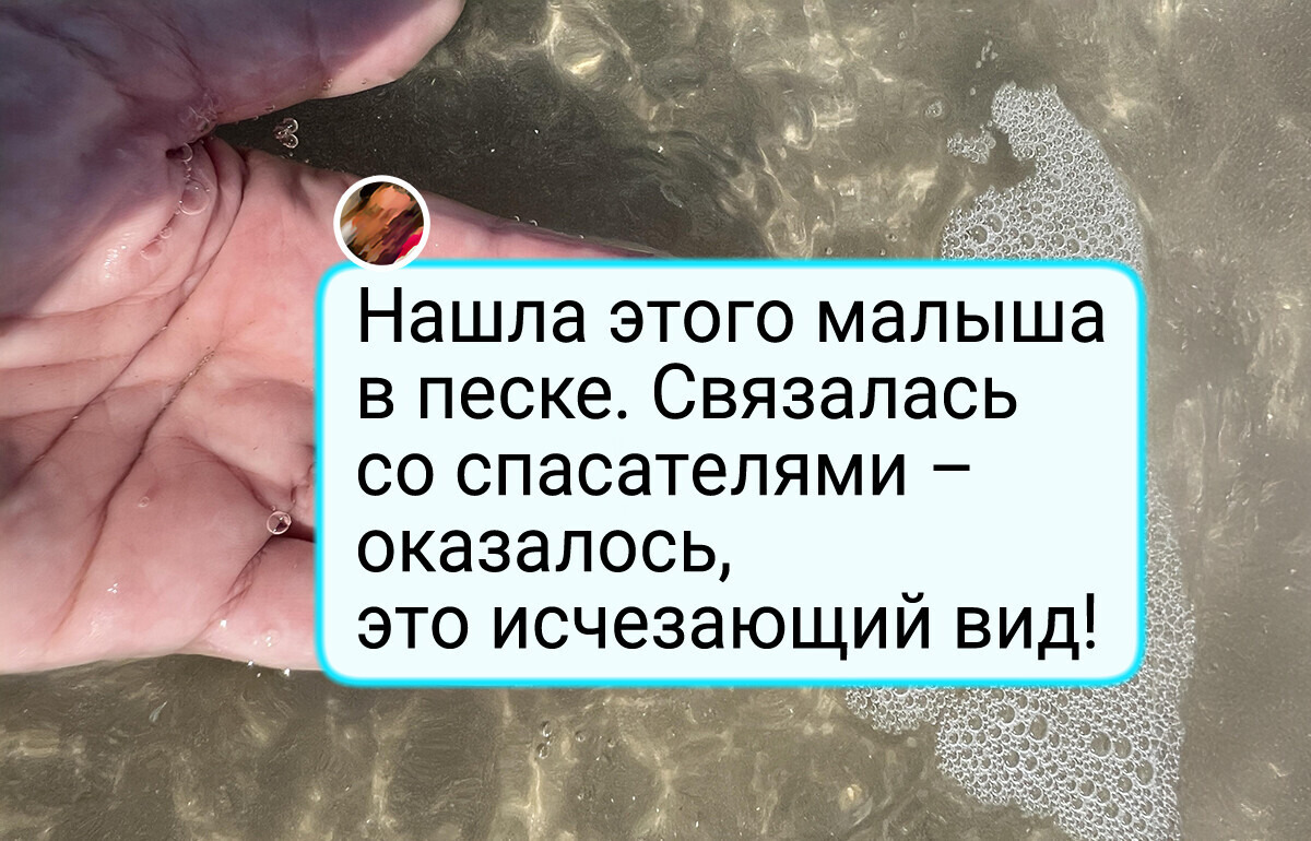20 человек, к которым животные пришли сами, словно почувствовав доброе сердце