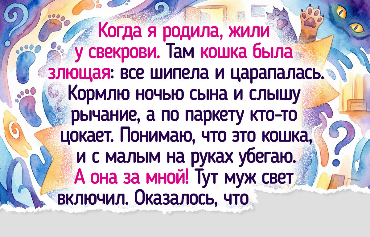 18 улетных историй о том, как наши любимые питомцы умеют навести шороху