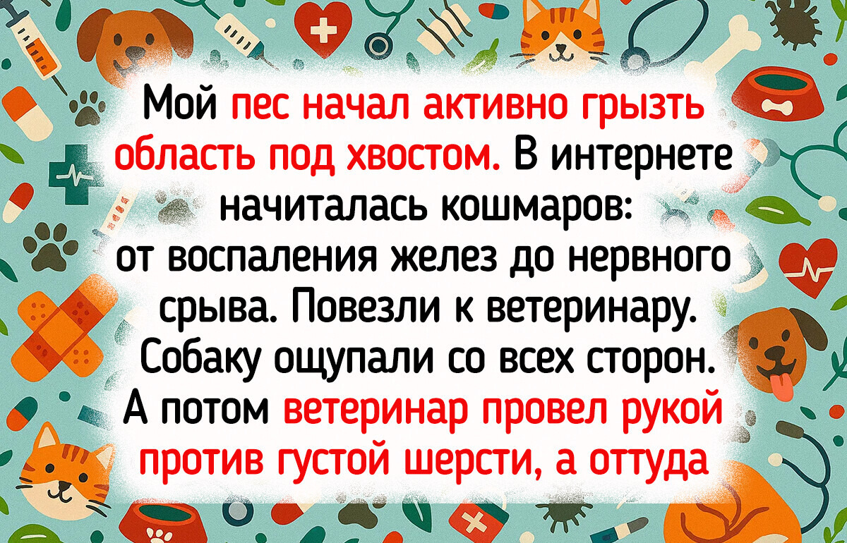 20 историй, после которых понимаешь, что пережить ремонт — это уже победа
