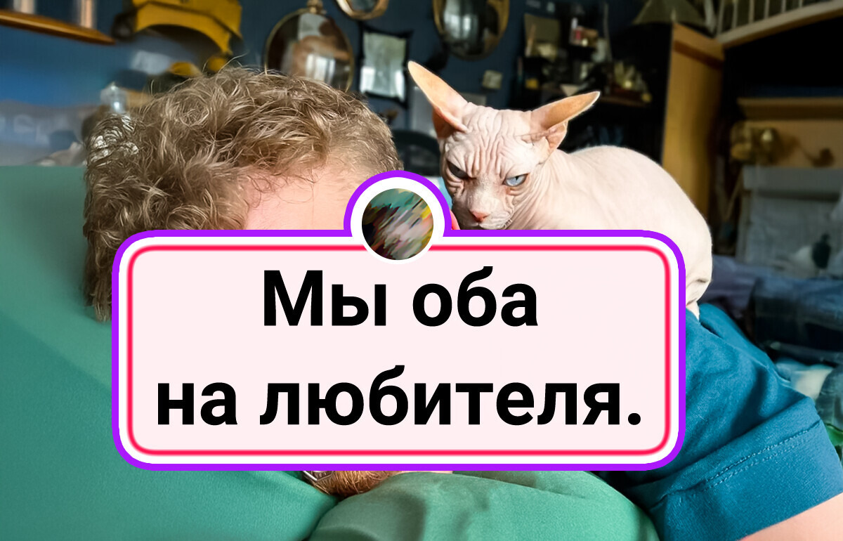 20+ фото, доказывающих, что хозяева похожи на своих питомцев, и это уморительно 20+ фото, доказывающих, что хозяева похожи на своих питомцев, и это уморительно