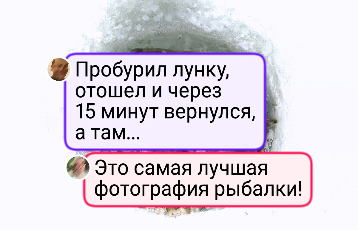 24 впечатляющих снимка, показывающих, что у природы фантазия покруче, чем у любого дизайнера