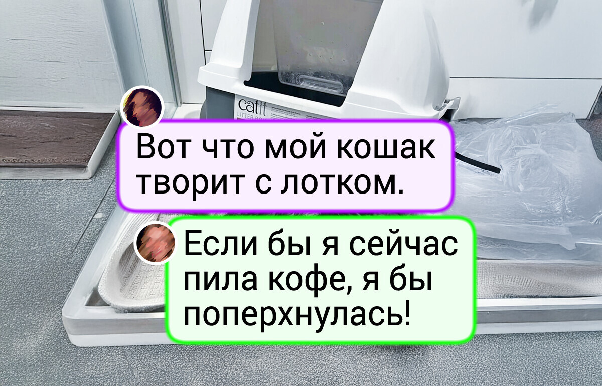 15 котов, у которых в голове свой собственный цирк (и мы обожаем это шоу) 15 котов, у которых в голове свой собственный цирк (и мы обожаем это шоу)