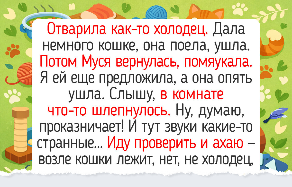 15+ пушистиков, у которых есть все — мягкие лапки, острый ум и доброе сердце