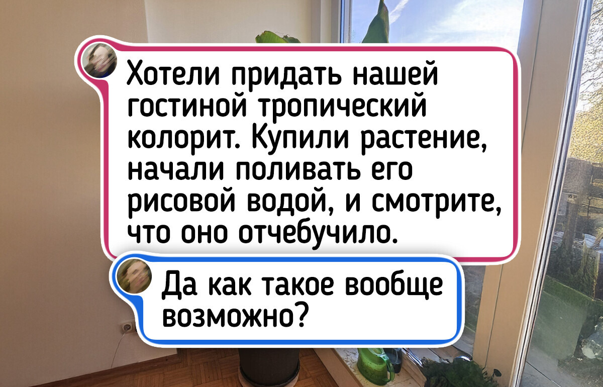 17 случаев, когда домашние цветы неслабо так удивили 17 случаев, когда домашние цветы неслабо так удивили