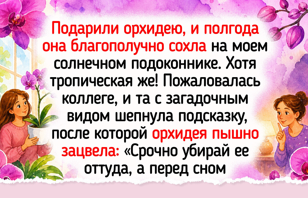 6 ошибок в уходе за домашними растениями, из-за которых они не цветут