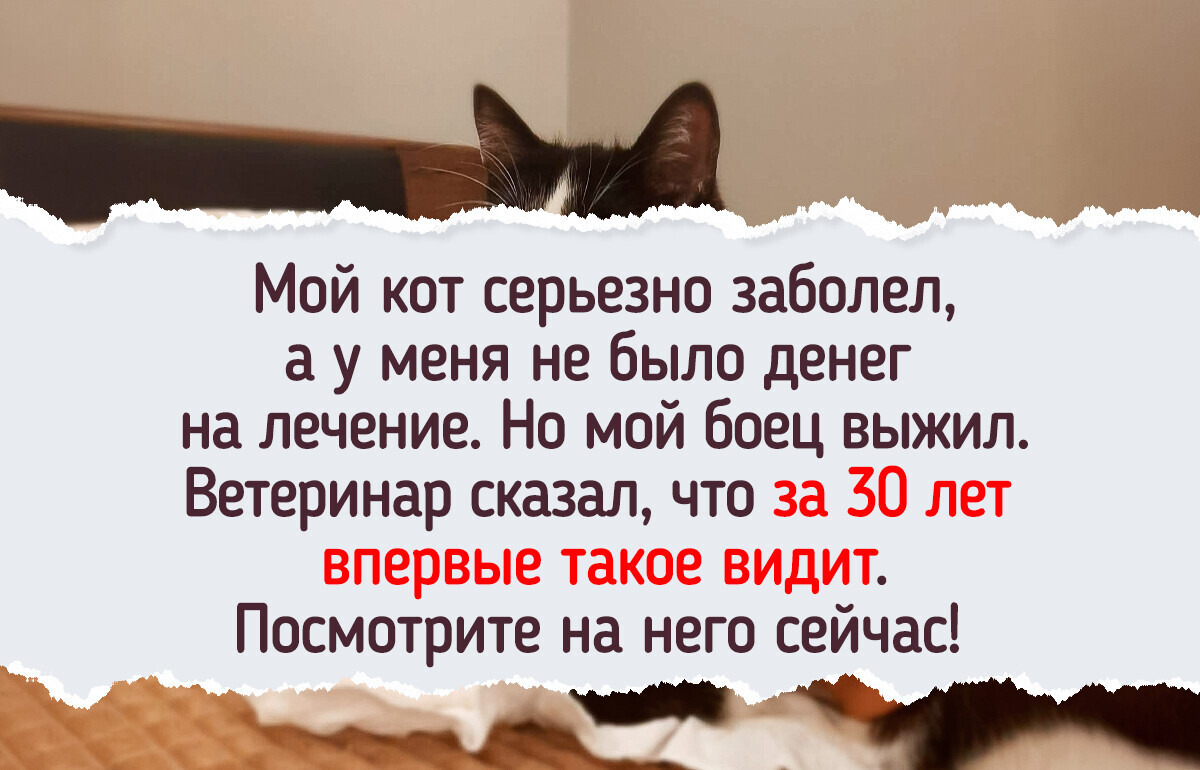 20+ человек поделились фотографиями, полными радости, и неожиданно согрели тысячи сердец