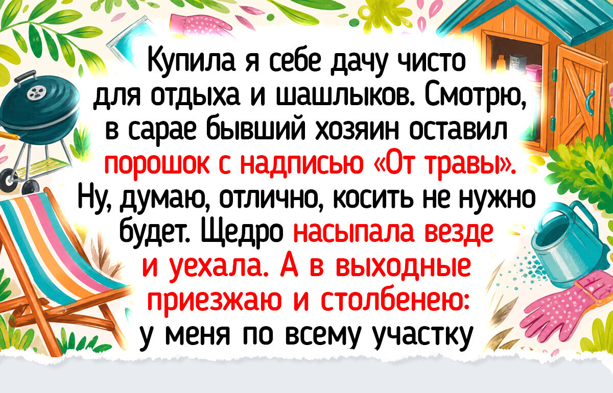 20+ душевных дачных историй и фото, пропитанных ароматом малины и маленькими радостями