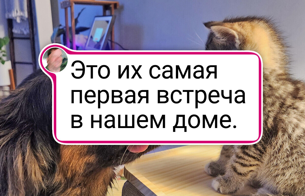 20+ фото, которые согревают получше весеннего солнышка