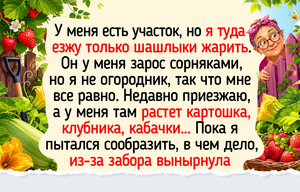 17 дачных историй и фото, наполненных ароматом пионов и молодой картошки с укропом