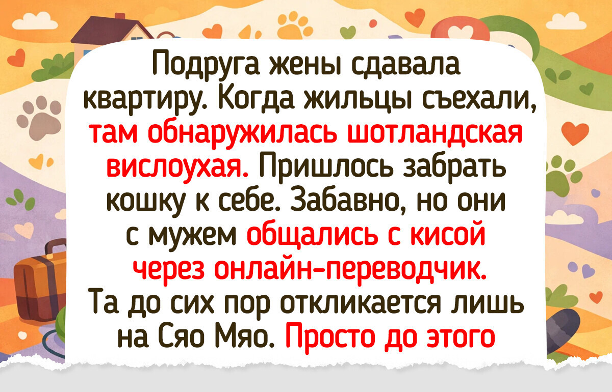 15+ трогательных превращений «до» и «после», где капля любви изменила чью-то жизнь — 24.03.2026