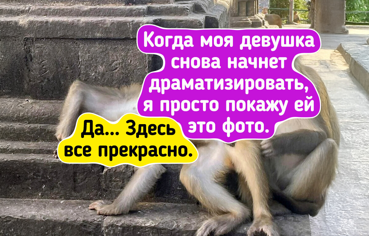 20 фотографий, которые легко перепутать с картинами известных художников 20 фотографий, которые легко перепутать с картинами известных художников