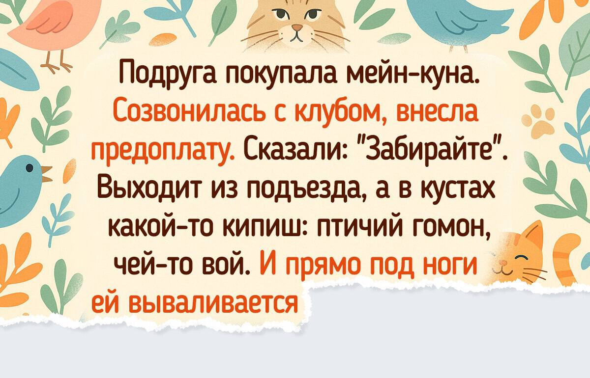 20+ историй о спасенных котиках, которые пережили трудные дни — и теперь мурчат от счастья 20+ историй о спасенных котиках, которые пережили трудные дни — и теперь мурчат от счастья