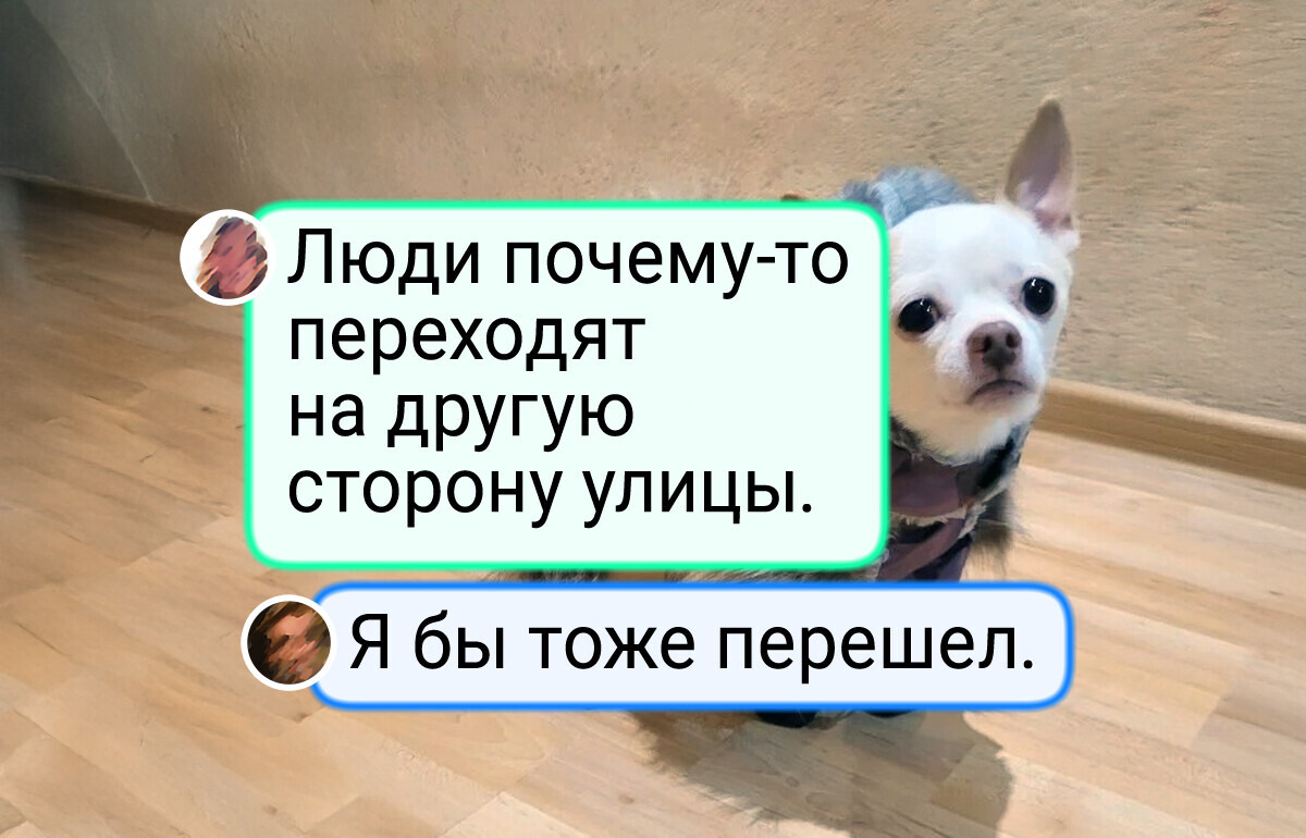 15+ ярких моментов, за которые хочется сказать спасибо уходящей зиме