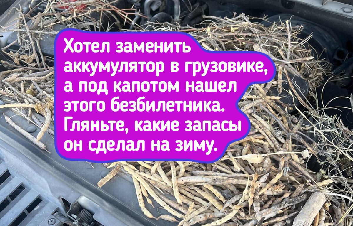 18 уютных фото о том, что каждый встречает зиму по-своему 18 уютных фото о том, что каждый встречает зиму по-своему
