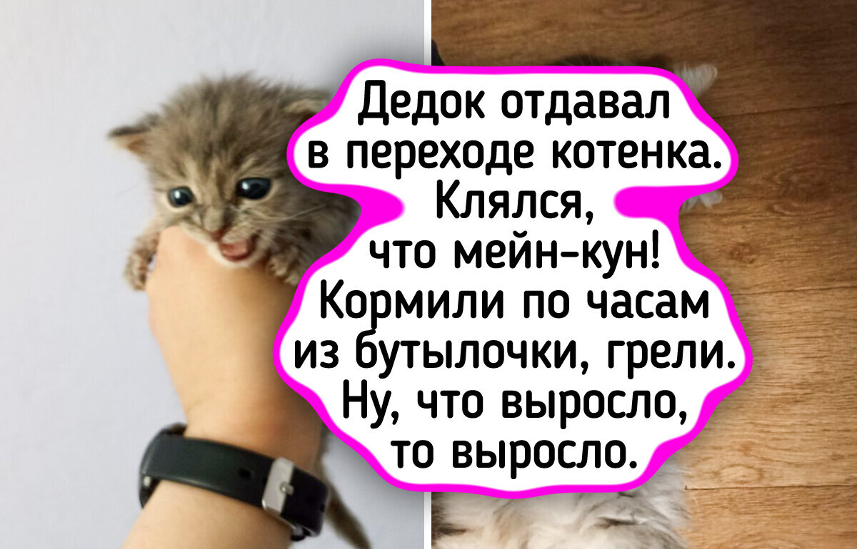 16 фото «до» и «после», которые доказывают, что любовь и забота творят чудеса 16 фото «до» и «после», которые доказывают, что любовь и забота творят чудеса