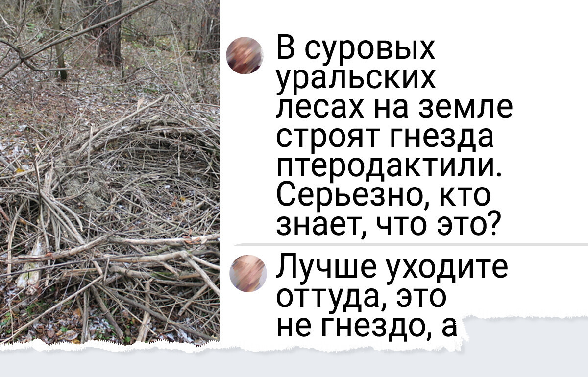 13 человек, которые просто пошли отдохнуть в лес, а наткнулись на диво дивное