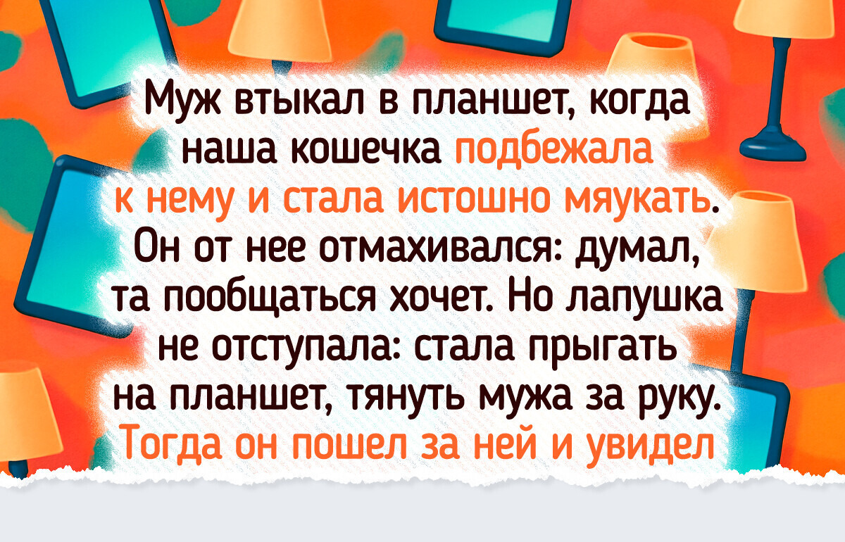 20+ раз, когда питомцы проявили такую смекалку, что их хозяева едва не зависли с открытым ртом
