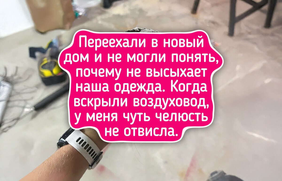 16 человек, для которых судьба приберегла пару «нежданчиков», и день перестал быть томным