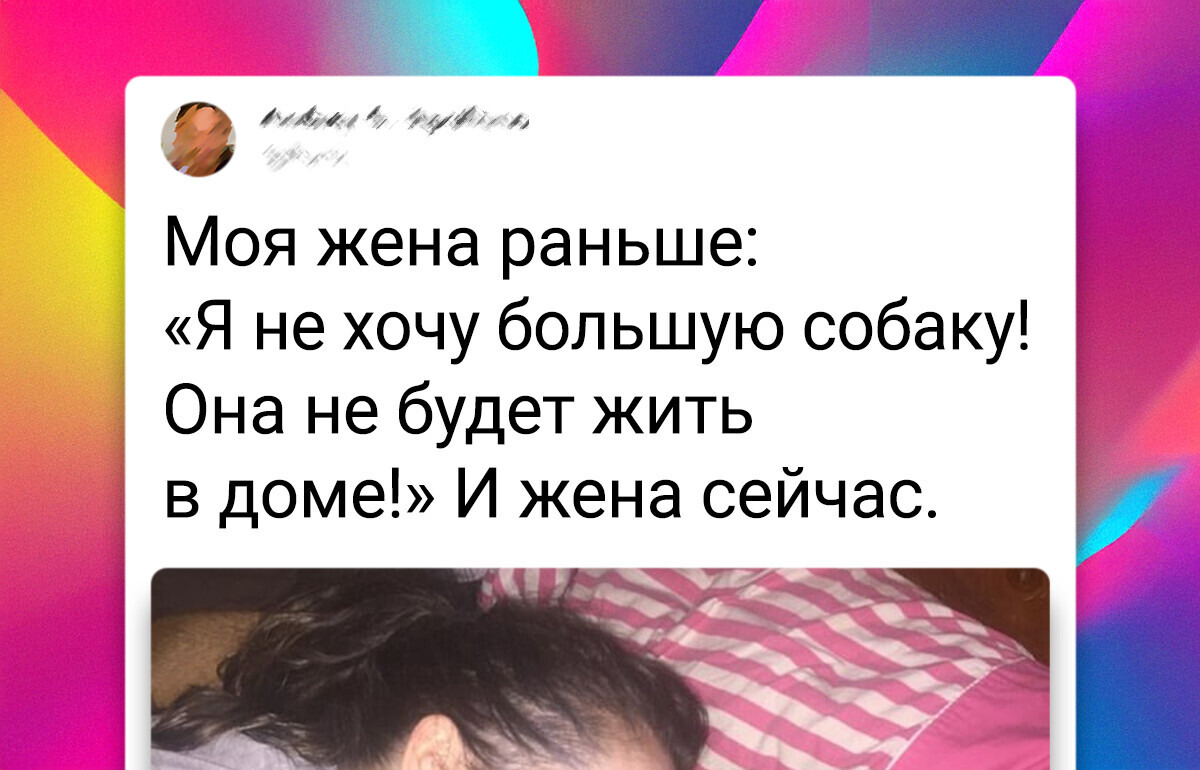 17 фотографий, которые поймут только владельцы больших собак 17 фотографий, которые поймут только владельцы больших собак
