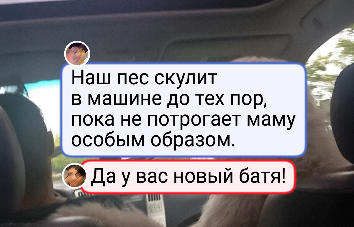 20 пушистых проказников, с которыми жизнь уже не будет прежней