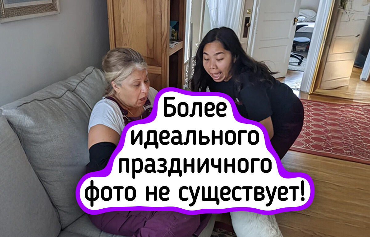 15 домашних фото, на которых питомцы будто подстроили идеальную композицию 15 домашних фото, на которых питомцы будто подстроили идеальную композицию