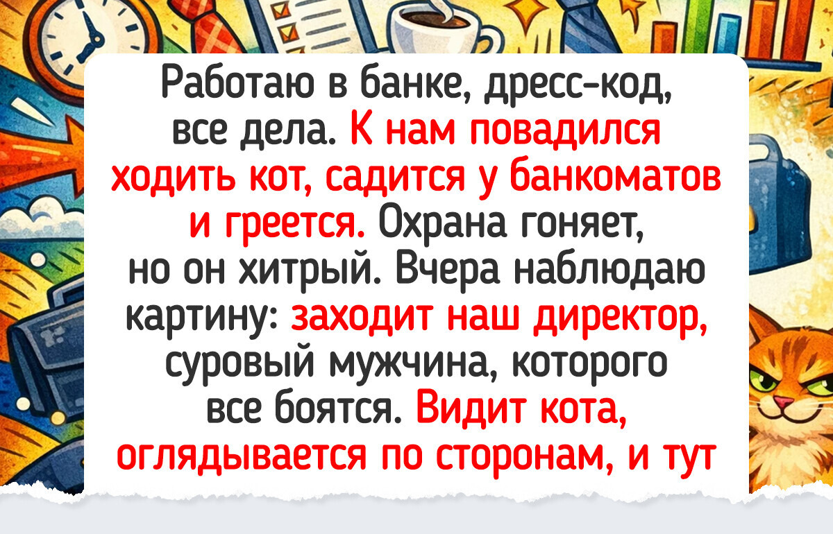 15 трогательных примеров того, как люди проявляют доброту к бездомным животным