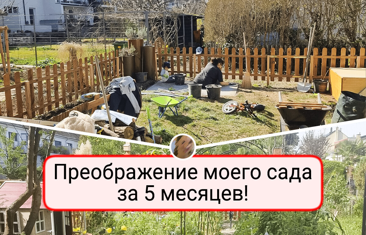14 садов, глядя на которые хочется срочно взять лопату и сделать так же 14 садов, глядя на которые хочется срочно взять лопату и сделать так же