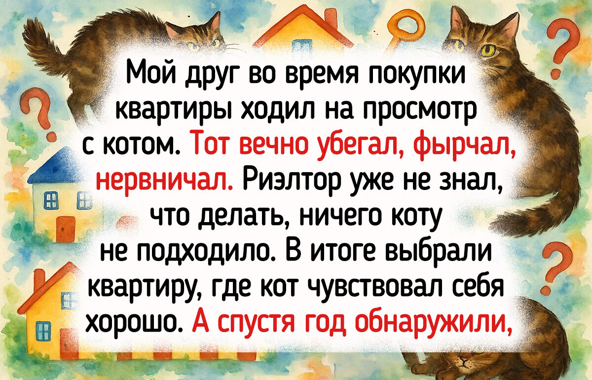 12 случаев, когда риелторы коварно пытались обвести всех вокруг пальца 12 случаев, когда риелторы коварно пытались обвести всех вокруг пальца
