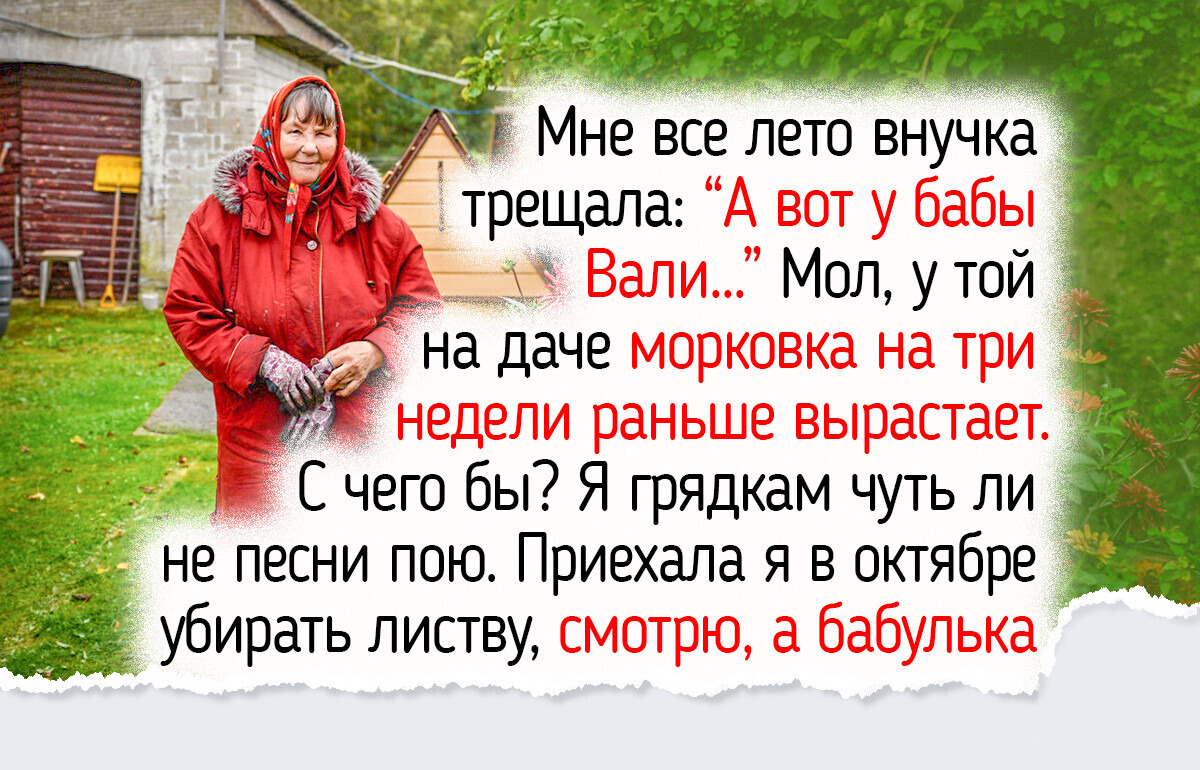 7 дел на даче в октябре, после которых весной участок встретит вас цветами, а урожай поспеет раньше