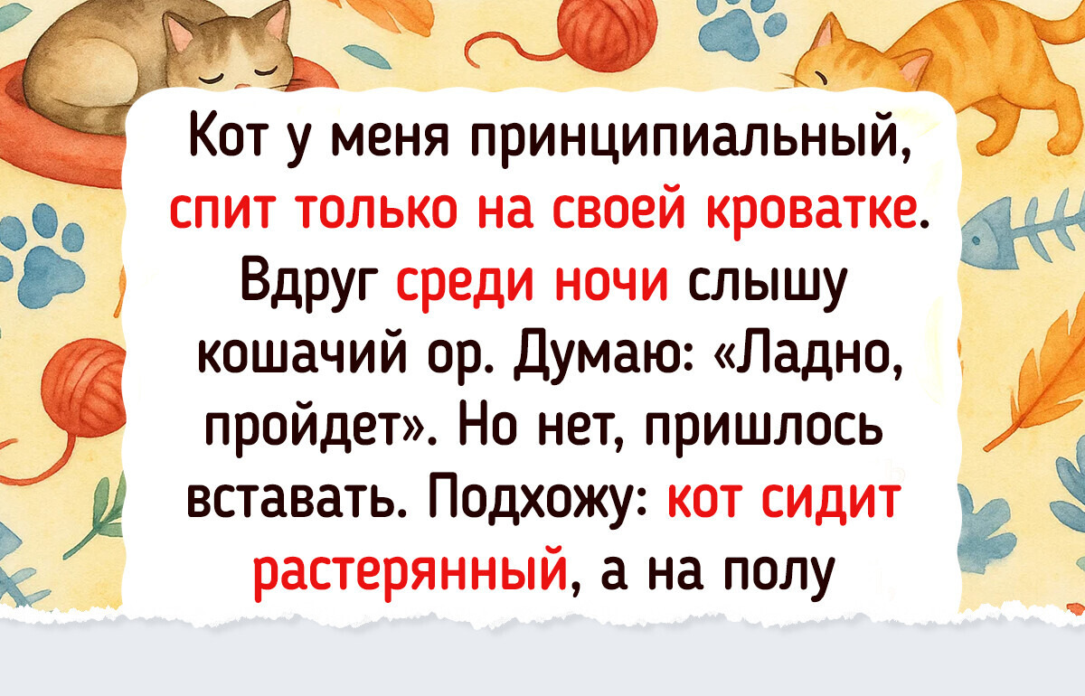 20 питомцев, которые благодаря своим поступкам стали легендами 20 питомцев, которые благодаря своим поступкам стали легендами