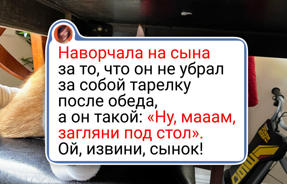 20+ человек, которые однажды попались в мягкие кошачьи лапки и покорились им 20+ человек, которые однажды попались в мягкие кошачьи лапки и покорились им