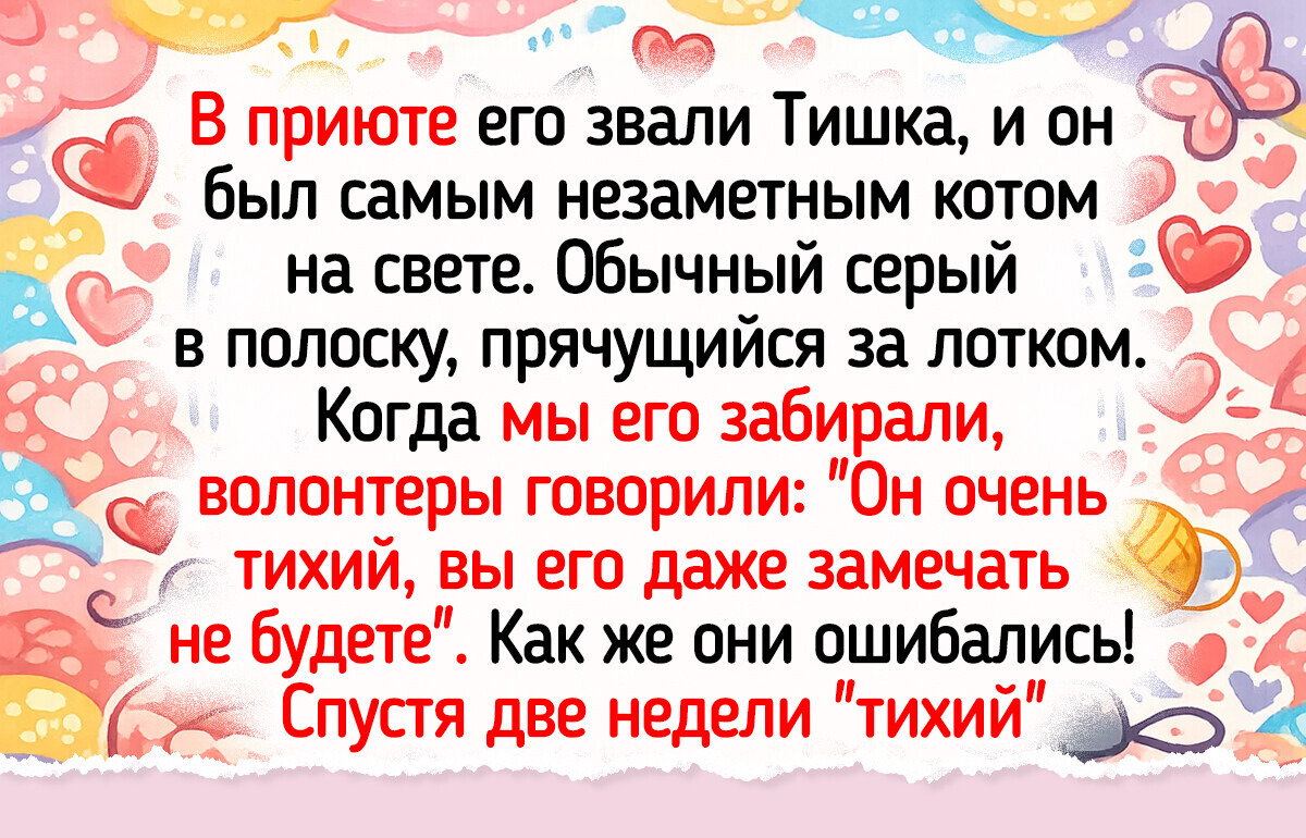 16 животных, которых любовь изменила до неузнаваемости