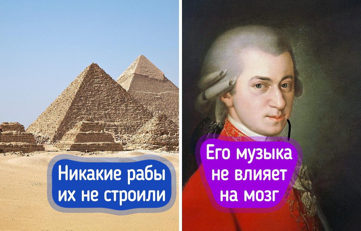 12 культурных мифов, в которые многие еще верят, а зря 12 культурных мифов, в которые многие еще верят, а зря