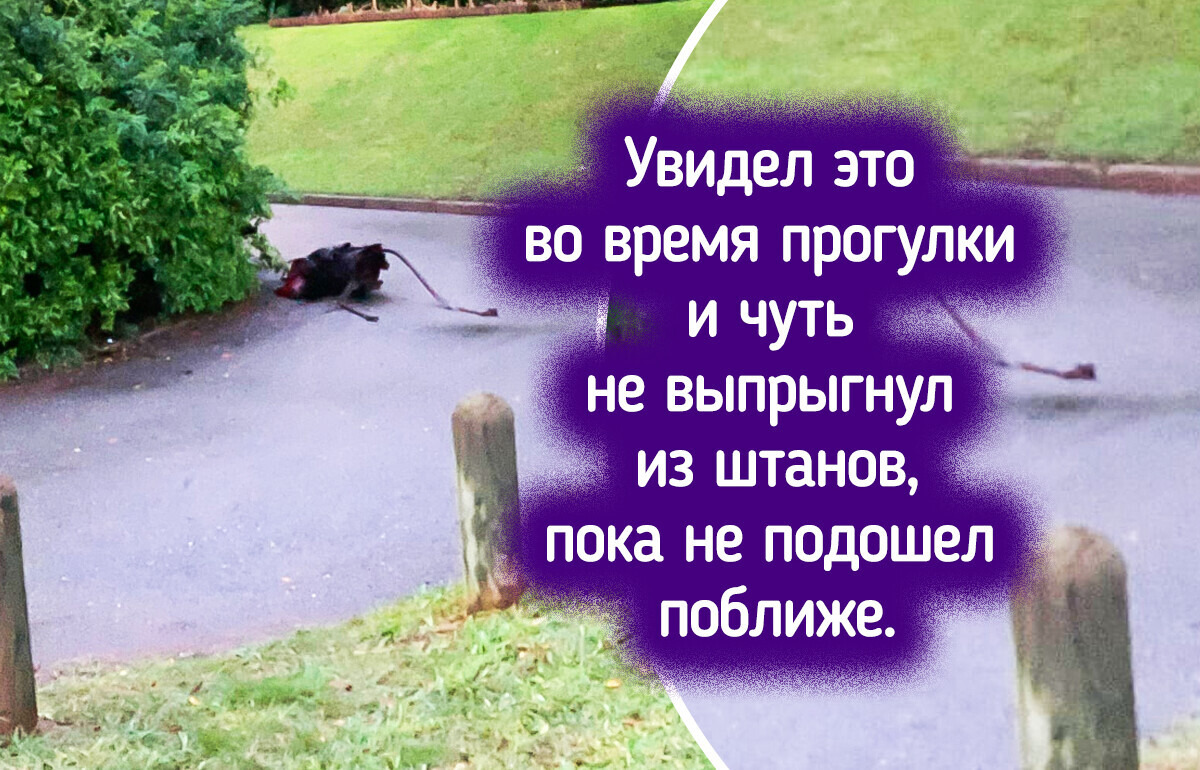 17 фото, которые на секундочку сломают ваш мозг, пока вы не присмотритесь 17 фото, которые на секундочку сломают ваш мозг, пока вы не присмотритесь