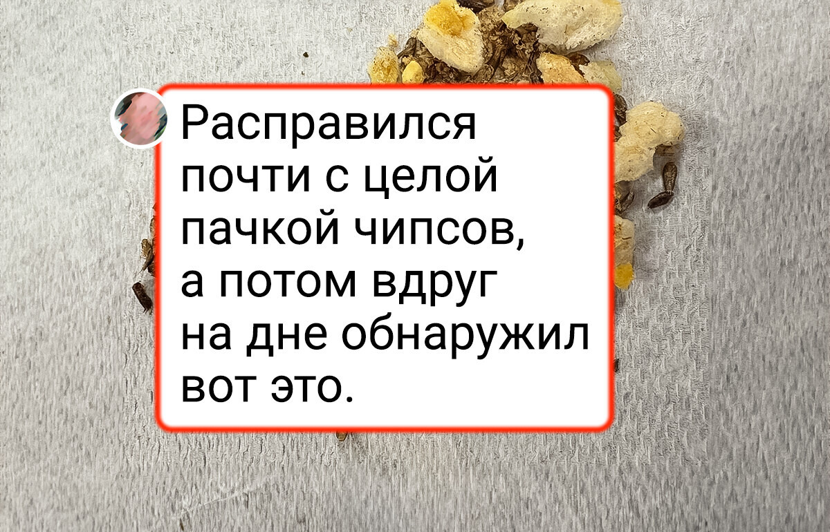 16 человек, чей прием пищи принял неожиданный поворот