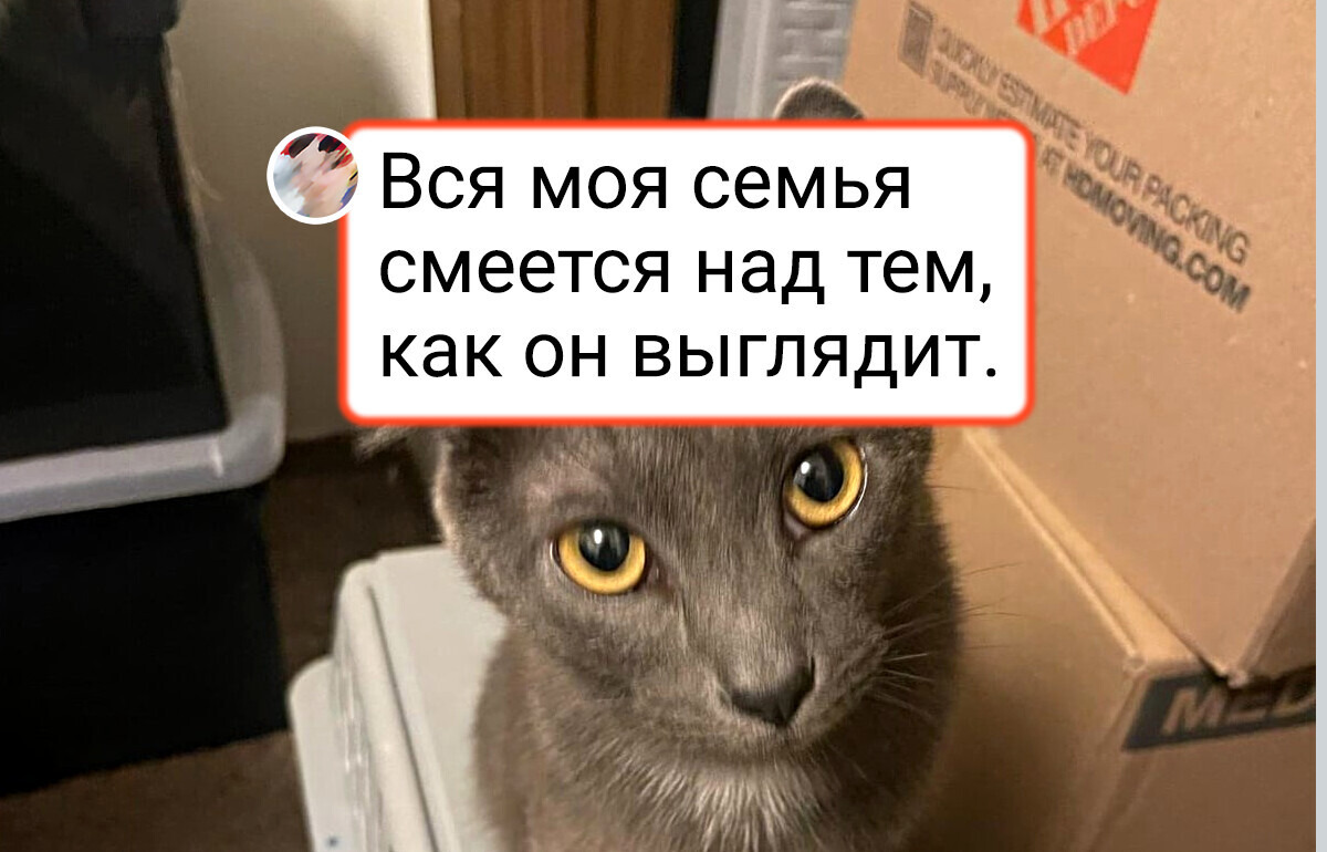 15 животных, которых генетика наградила изюминкой
