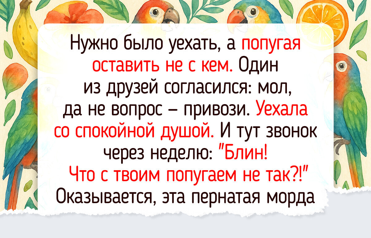 20 животинок, которые выдали такие искренние эмоции, что аж за душу берет 20 животинок, которые выдали такие искренние эмоции, что аж за душу берет