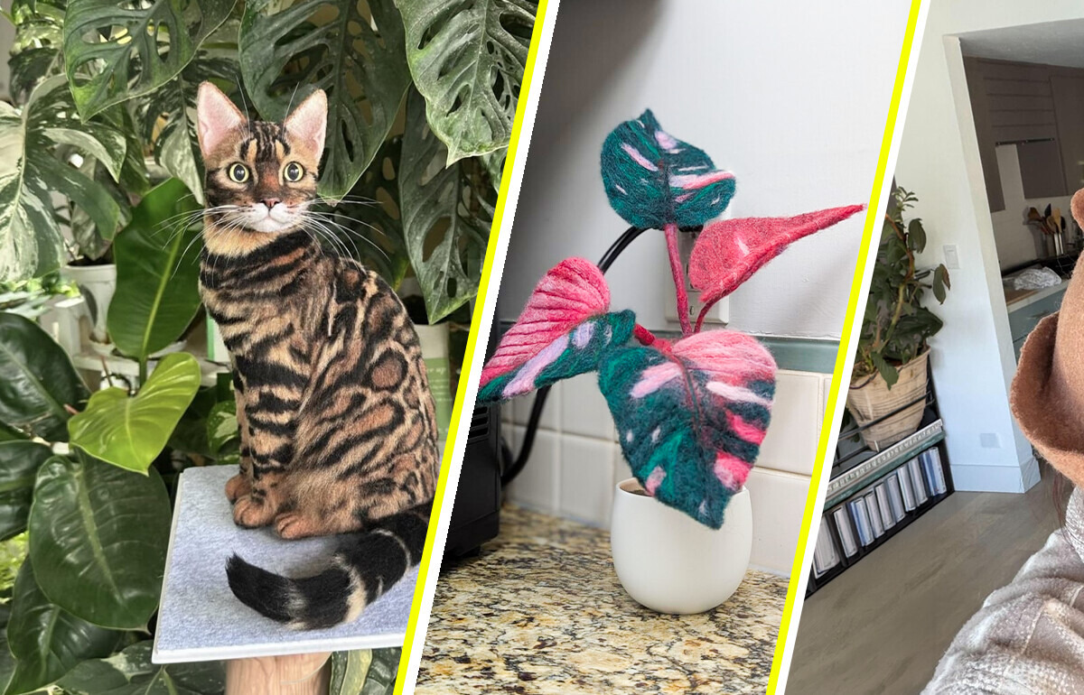 17 умниц, которые сумели превратить простой кусок шерсти во что-то нежное и уютное
