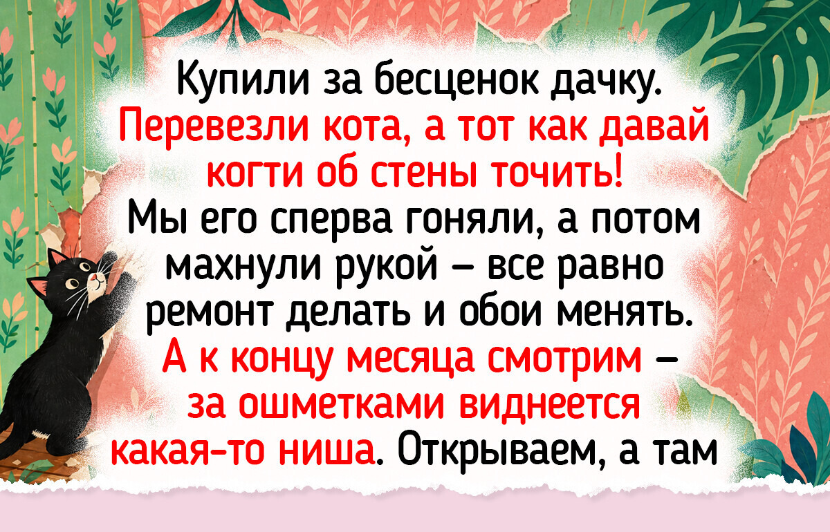 20+ жизненных фото и историй о домашних животных, для которых дача — это летнее королевство