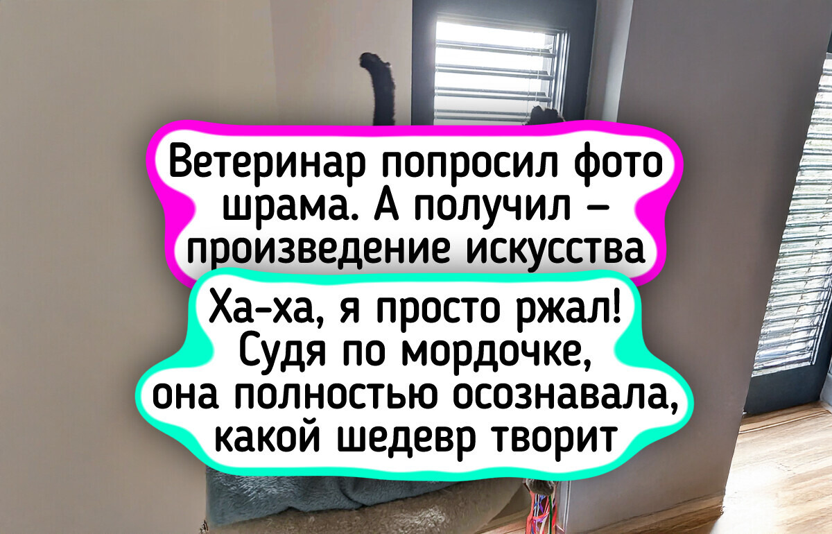 25 питомцев, которые уже готовят иск в суд на своих хозяев за эти позорные фотографии