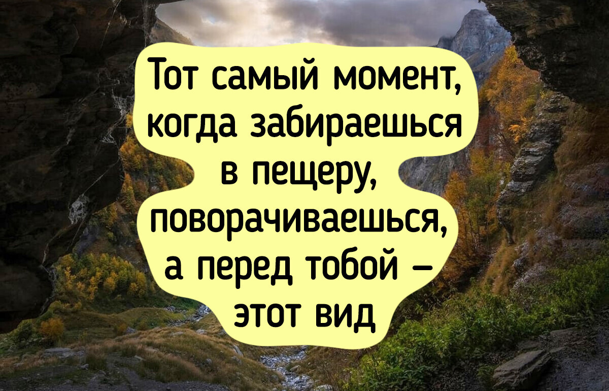 17 снимков дикой природы, глядя на которые вновь влюбляешься в мир
