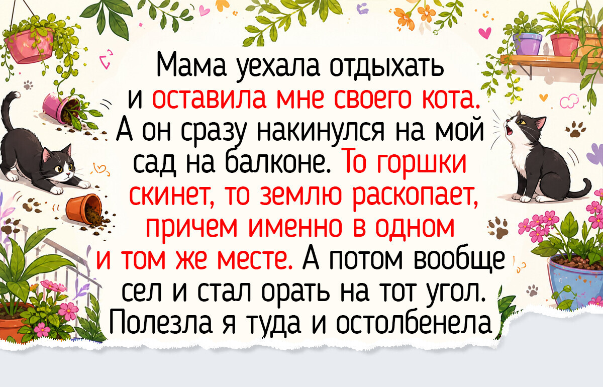 18 фото и историй об огородах на балконах, которые стали источником маленьких радостей