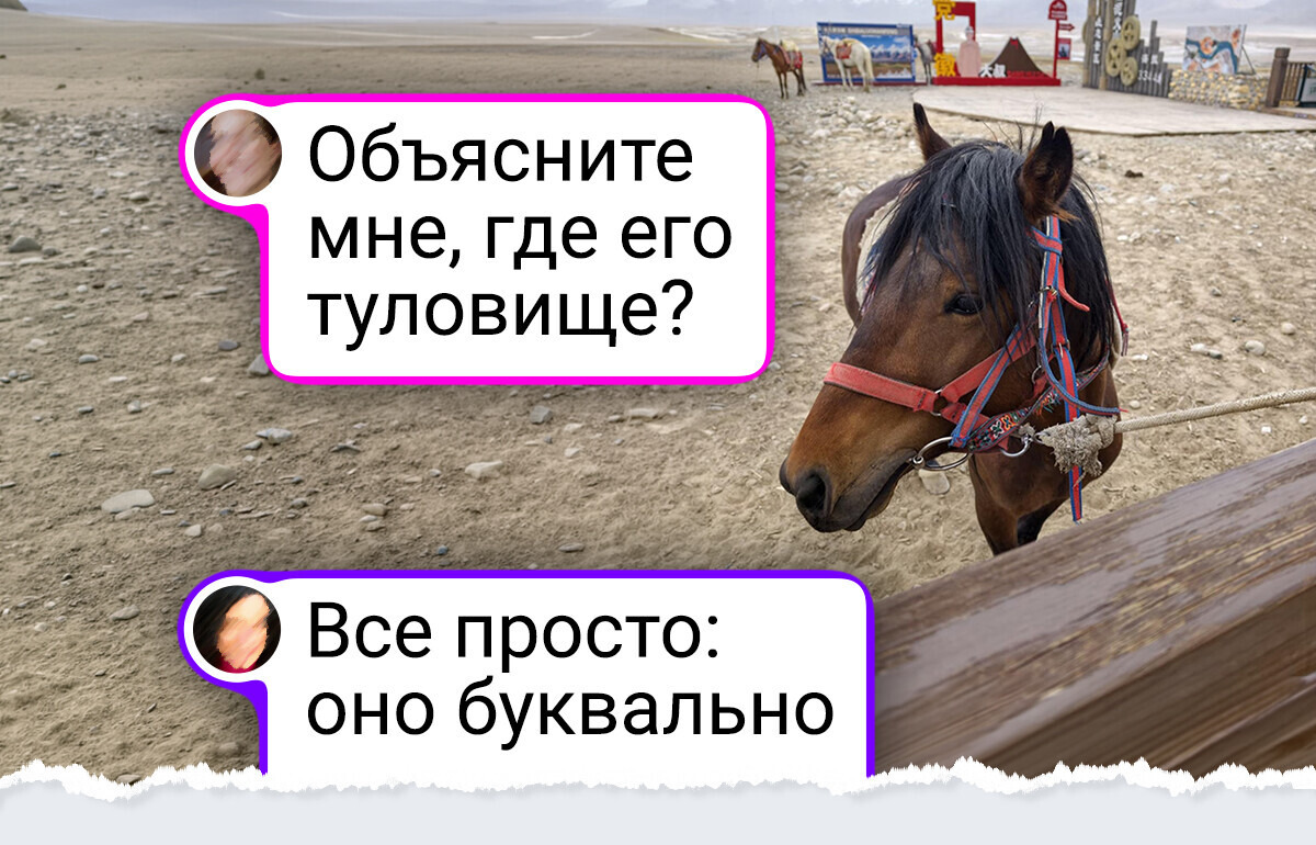 17 случаев, когда реальность подкинула такие ребусы, что без лупы и не разберешься