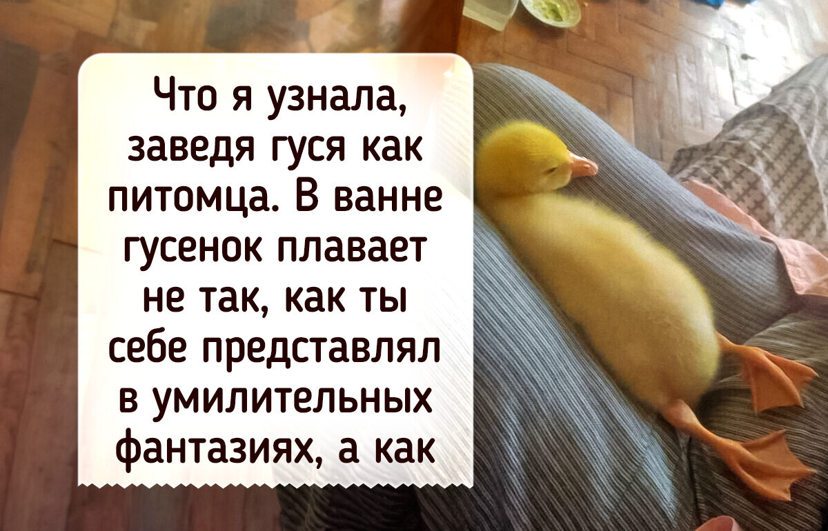 7 неожиданных инсайтов, которое меняют привычный взгляд на жизнь 7 неожиданных инсайтов, которое меняют привычный взгляд на жизнь