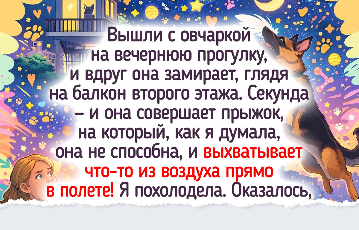 20 историй о том, как одна прогулка с питомцем подкинула сюжет как в комедии
