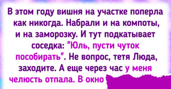 20+ человек, у которых историй с дачи больше, чем кабачков по осени