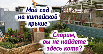 14 человек так обустроили свои сады, что аж завидно